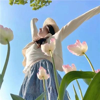 完美伴侣2025 在线观看