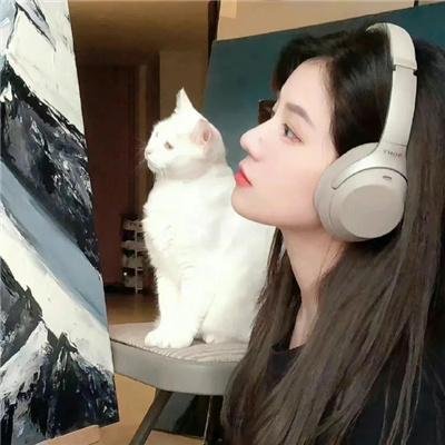锦绣人生 在线观看